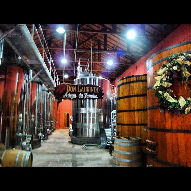 Wine Barrels From Brazil Photograph by Daniel Resende Meneses