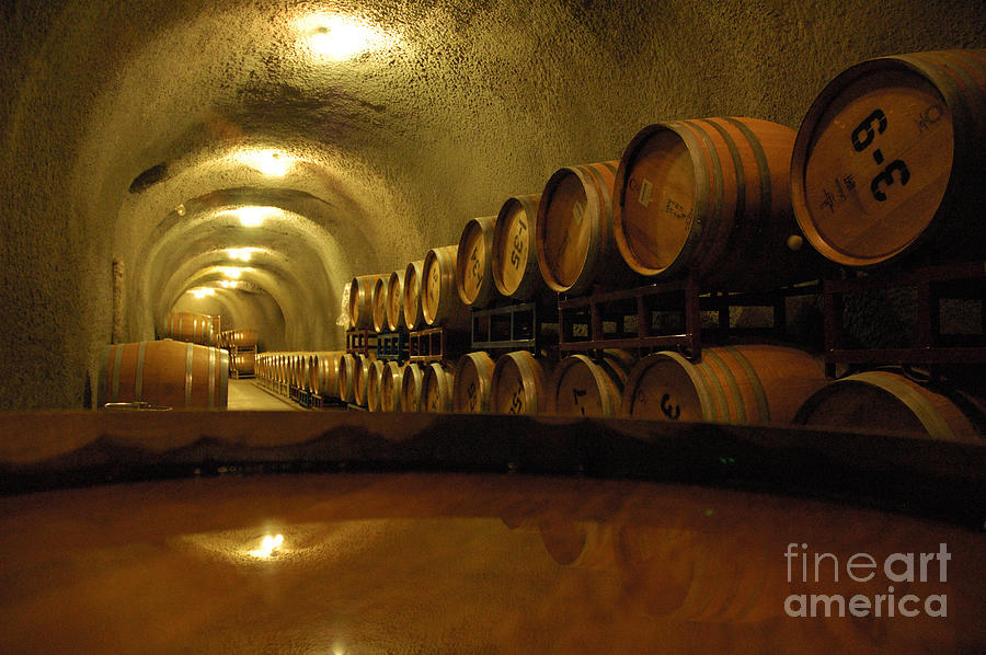 Wine Cellar Photograph
