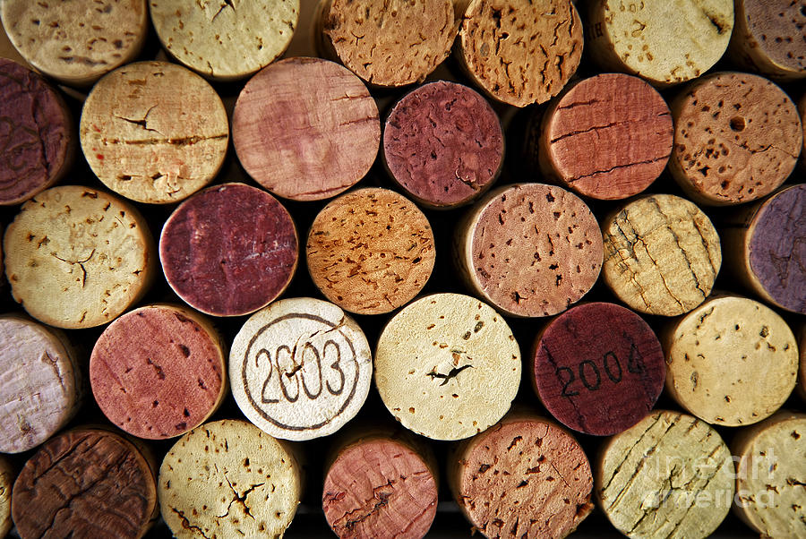 Wine Corks 1 Photograph