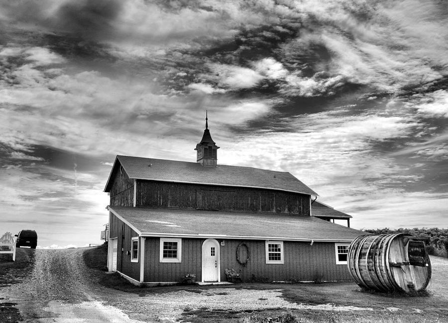 Black And White Photograph - Wine Country Barn by Steven Ainsworth
