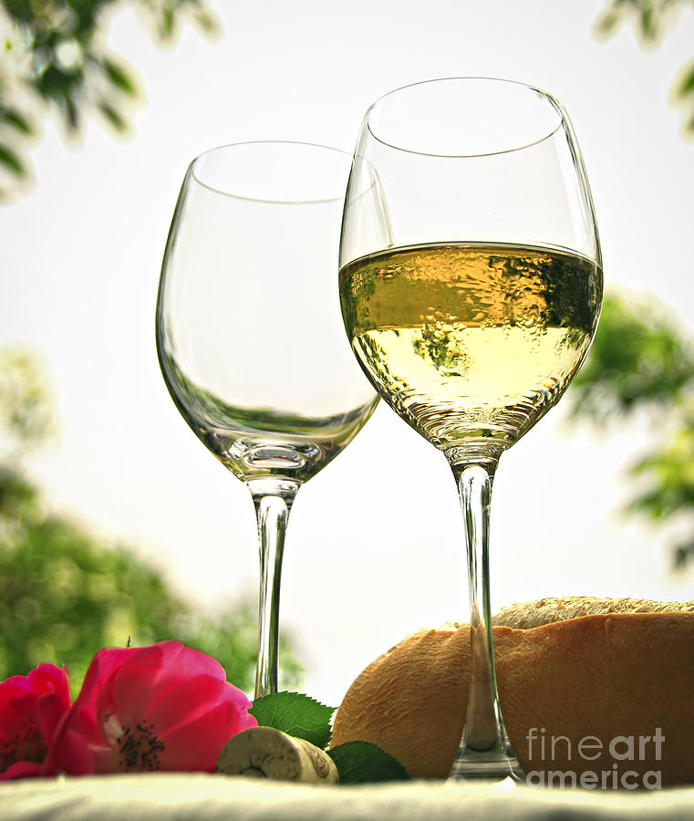 Wine Photograph - Wine glasses by Elena Elisseeva