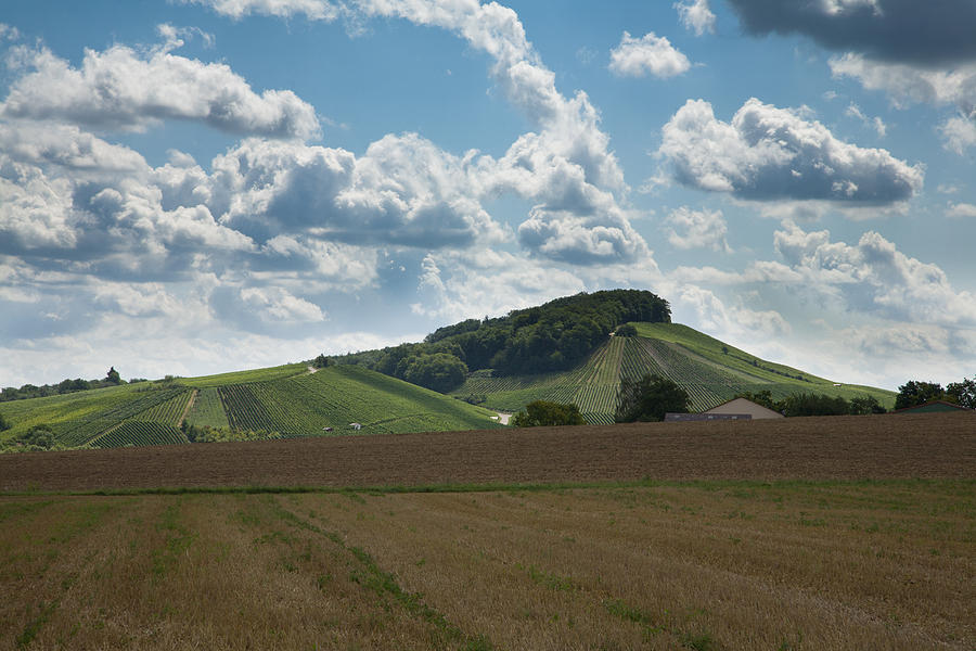 Wine hills of Germany Photograph by Ian Middleton