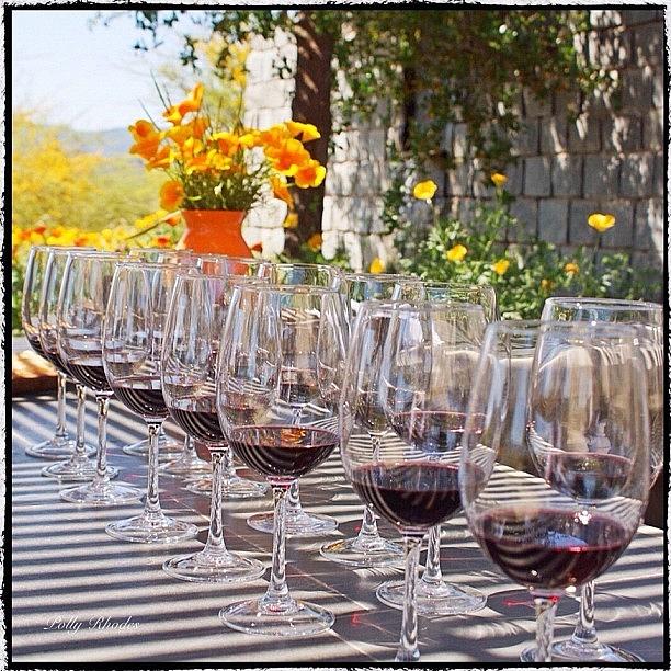 Flower Photograph - Wine Tasting At Kingston Vineyard by Polly Rhodes