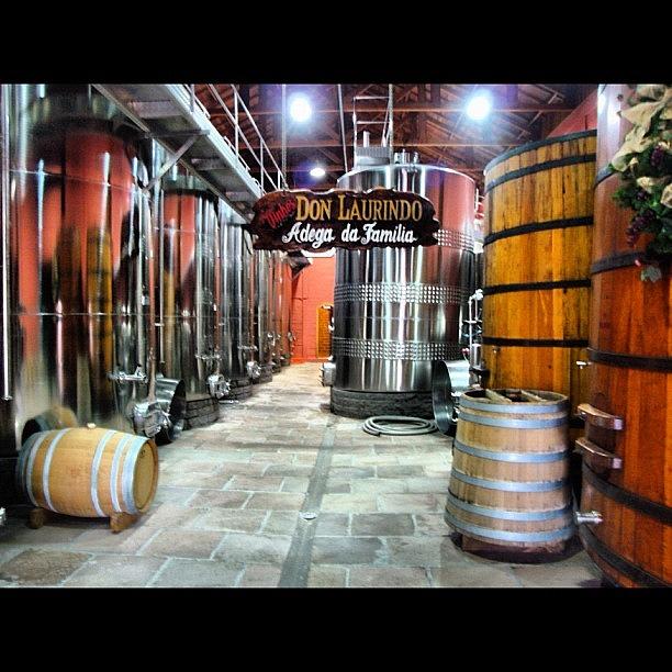 Wine Wood And Steel Barrels Photograph by Daniel Resende Meneses