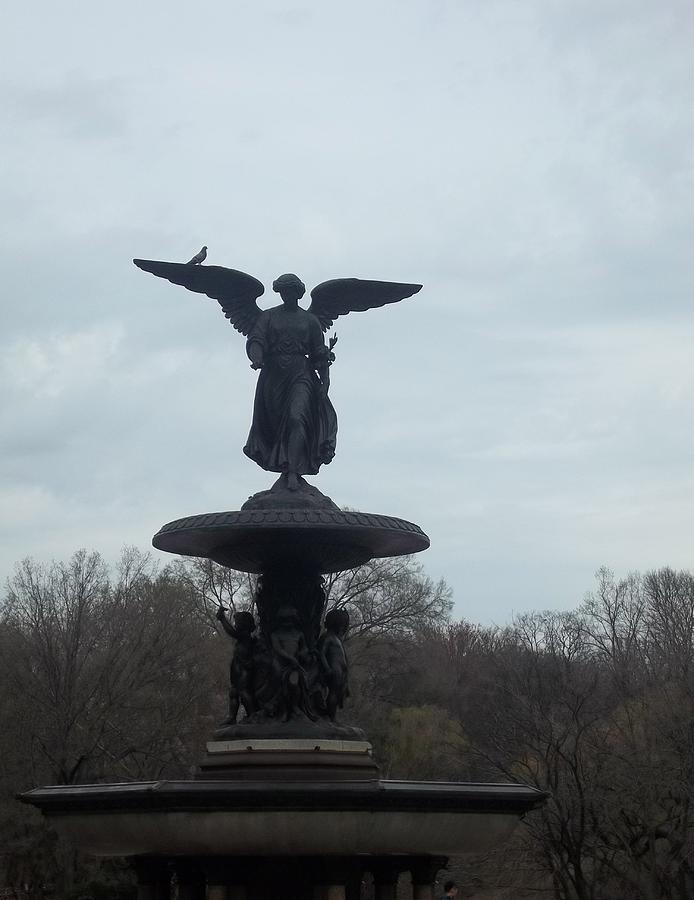 Wings in Central Park Photograph by Brianna Thompson