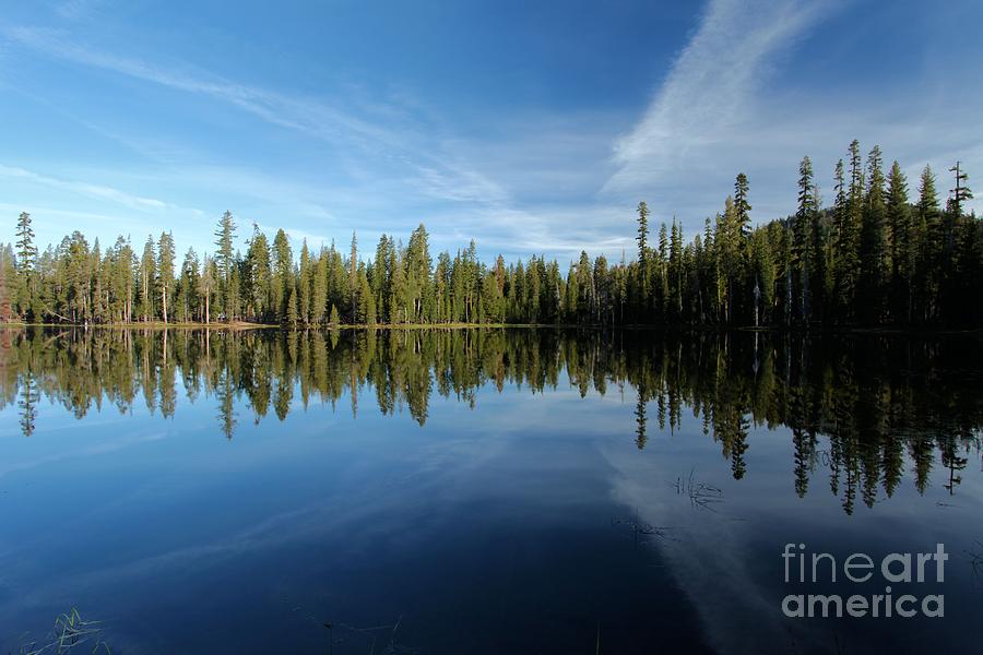 Lassen Volcanic National Park Photograph - Wings In The Lake by Adam Jewell