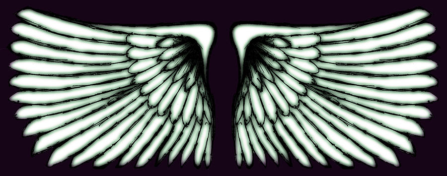Wings Digital Art