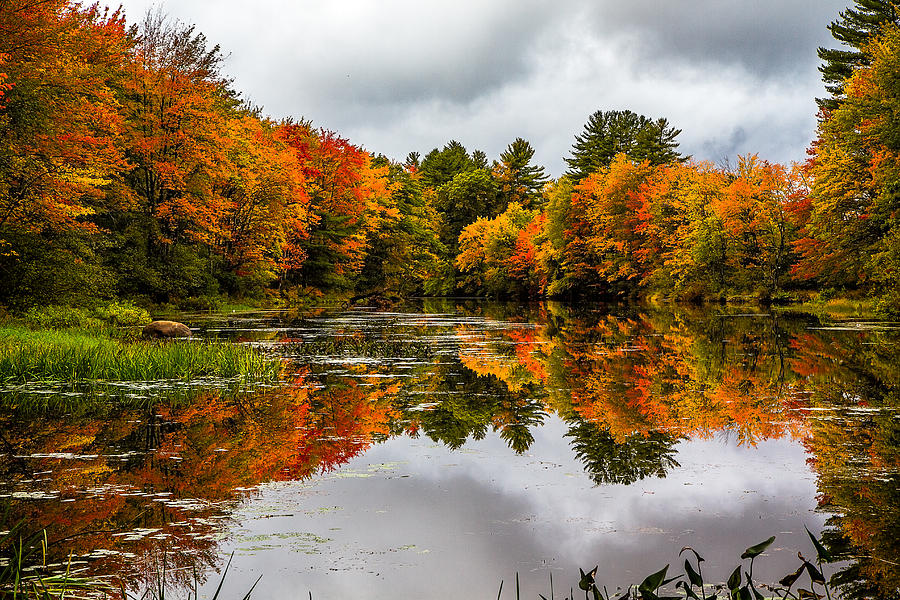 Winnipesaukee River Photograph by Robert Clifford - Fine Art America