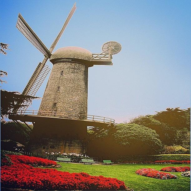 Flower Photograph - Winokan Shot This Windy Windmill At by Karen Winokan