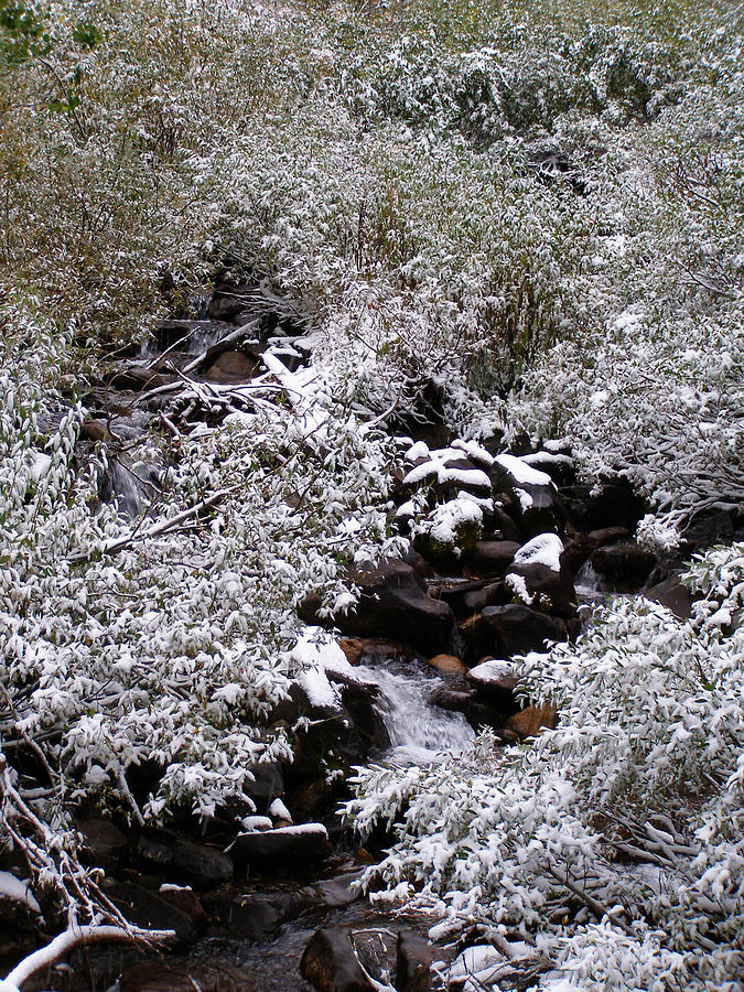Winter Arrives On The Creek Photograph by DeeLon Merritt