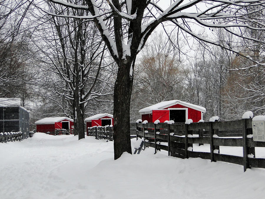 Winter at the Canatara Farm Mixed Media by Bruce Ritchie