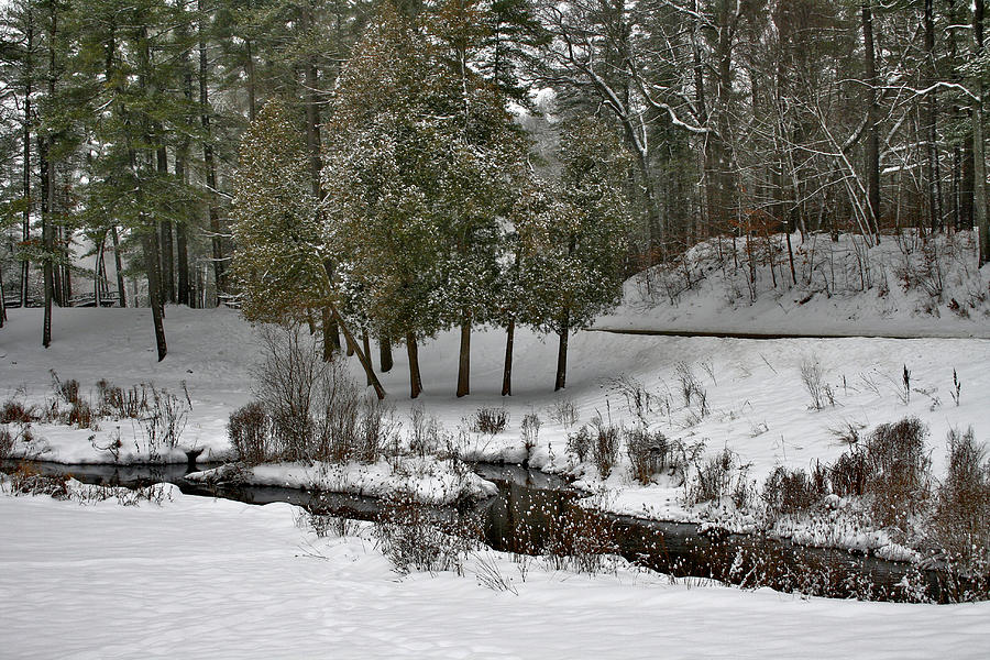 Winter At Warren Townsend Park Photograph by Richard Gregurich