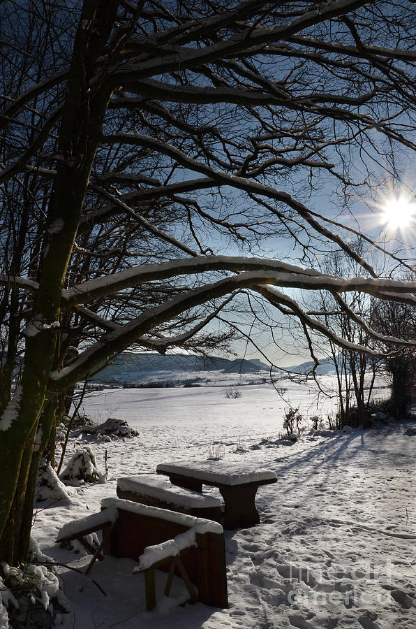 Winter Photograph - Winter Beauty 2 by Bruno Santoro