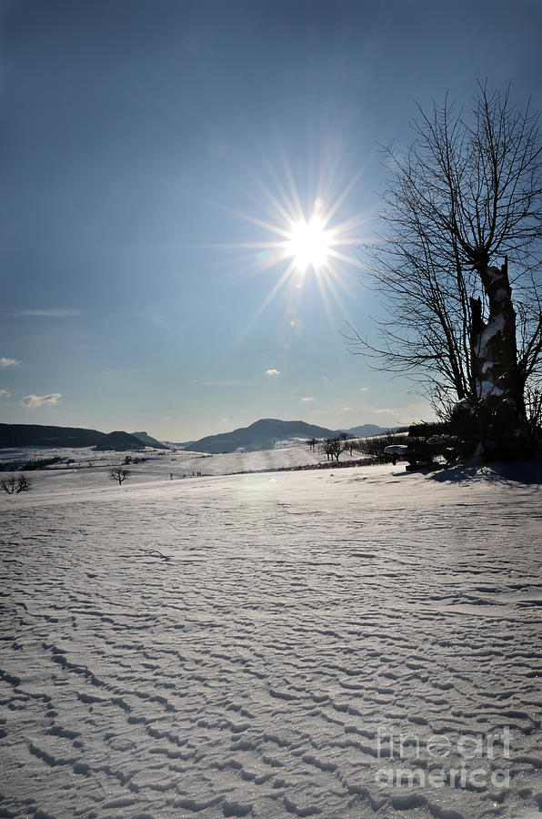 Winter Photograph - Winter Beauty 3 by Bruno Santoro