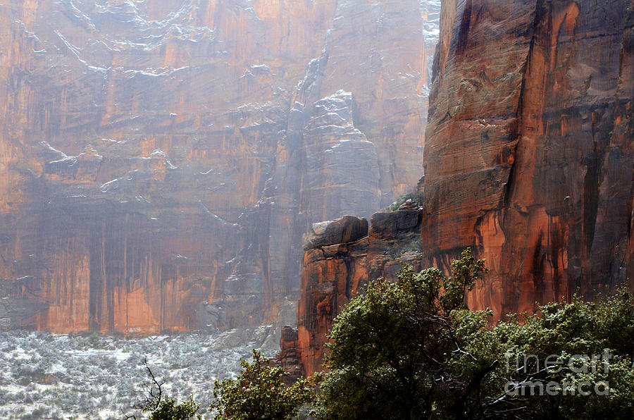 Winter Beauty In Zion Photograph by Bob Christopher