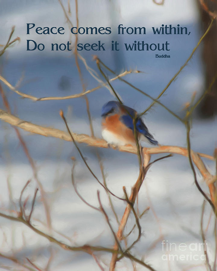 Winter Bluebird Inner Peace Quote Painting by Smilin Eyes Treasures
