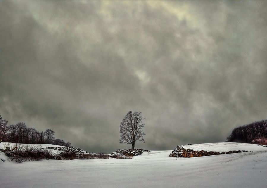 Winter Blues Photograph by Evelina Kremsdorf