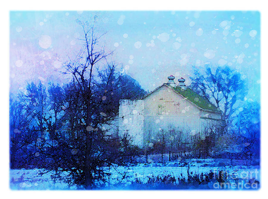 Winter blues Photograph by Gina Signore