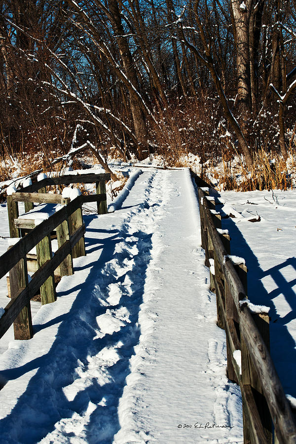 Winter Boardwalk Photograph by Ed Peterson