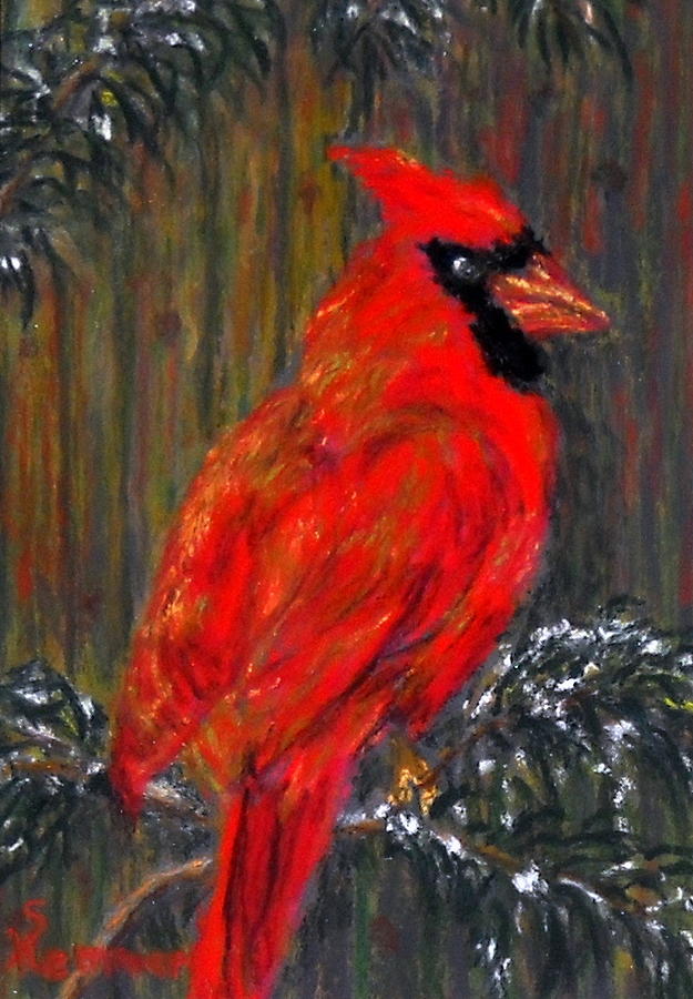 Winter Cardinal Pastel by Sandy Hemmer