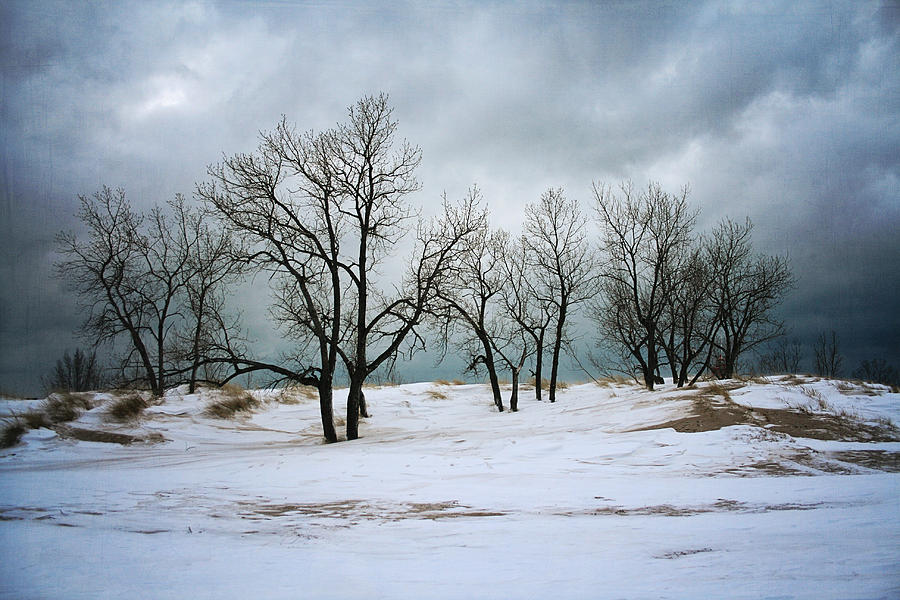 Winter Clouds Photograph by Laura Kinker