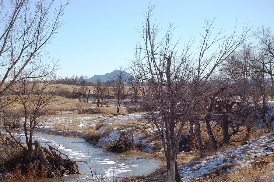 Winter Creek Photograph by Greni Graph