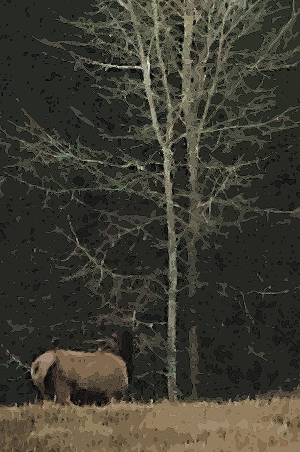Winter Elk Digital Art by Robert Bissett