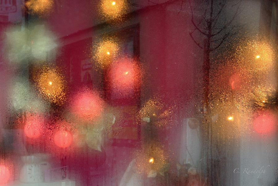 Winter Fairy Lights Photograph by Cheri Randolph