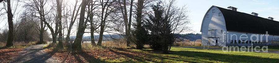 Winter Farm Panorama Photograph