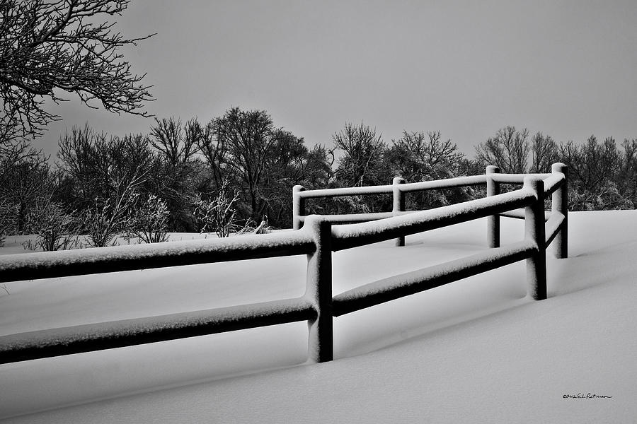 Winter Fence Photograph by Ed Peterson