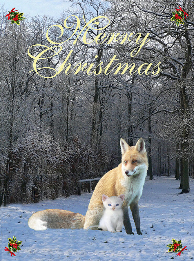 Winter Fox Merry Christmas Mixed Media by Eric Kempson