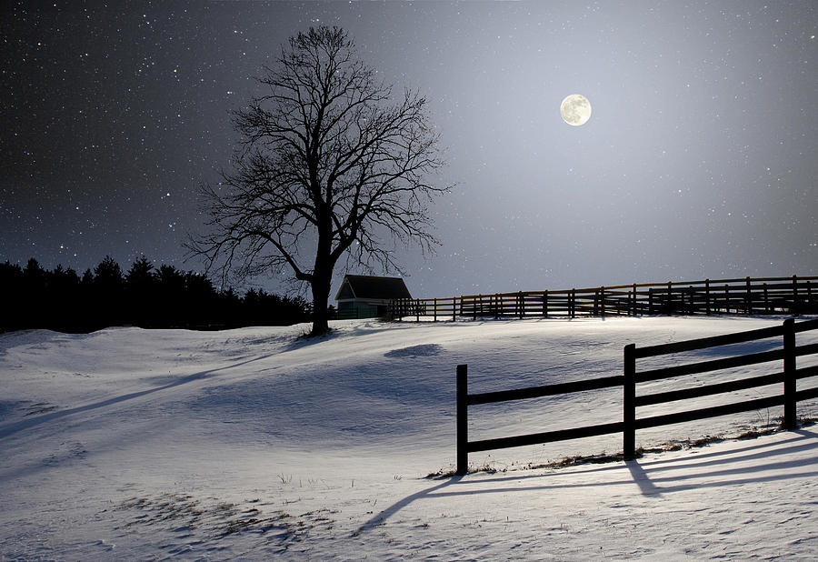 Winter Full Moon Photograph by Larry Landolfi
