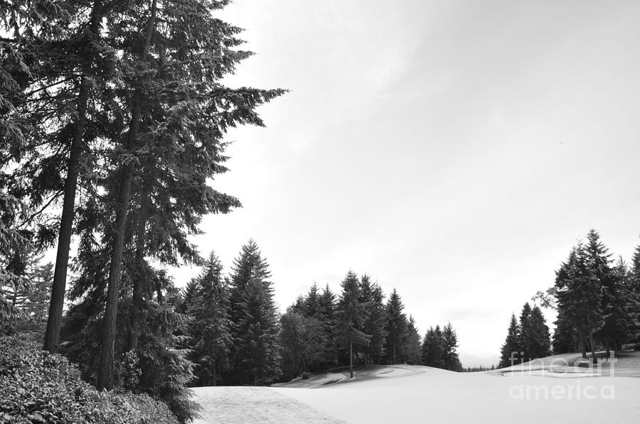 Golf Photograph - Winter Golf Course  3 by Tatyana Searcy