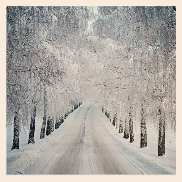 Winter Photograph - Winter Heaven #winter by Thomas Berger