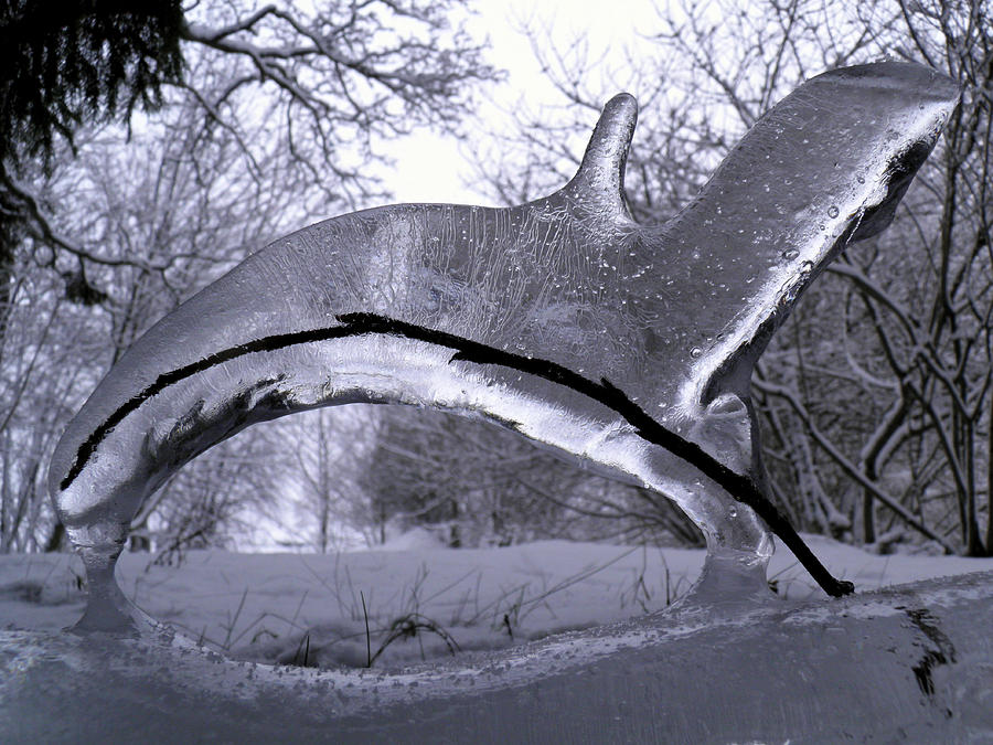 Winter Ice Photograph by Sami Tiainen