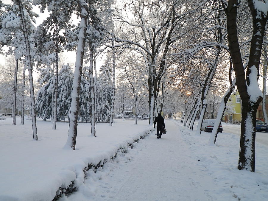 Winter in Mako Photograph by Anna Ruzsan