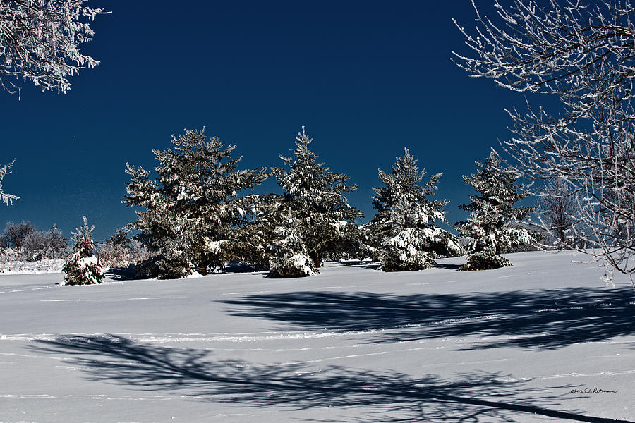 Winter In The Midwest Photograph by Ed Peterson Winter In The Midwest Photograph by Ed Peterson