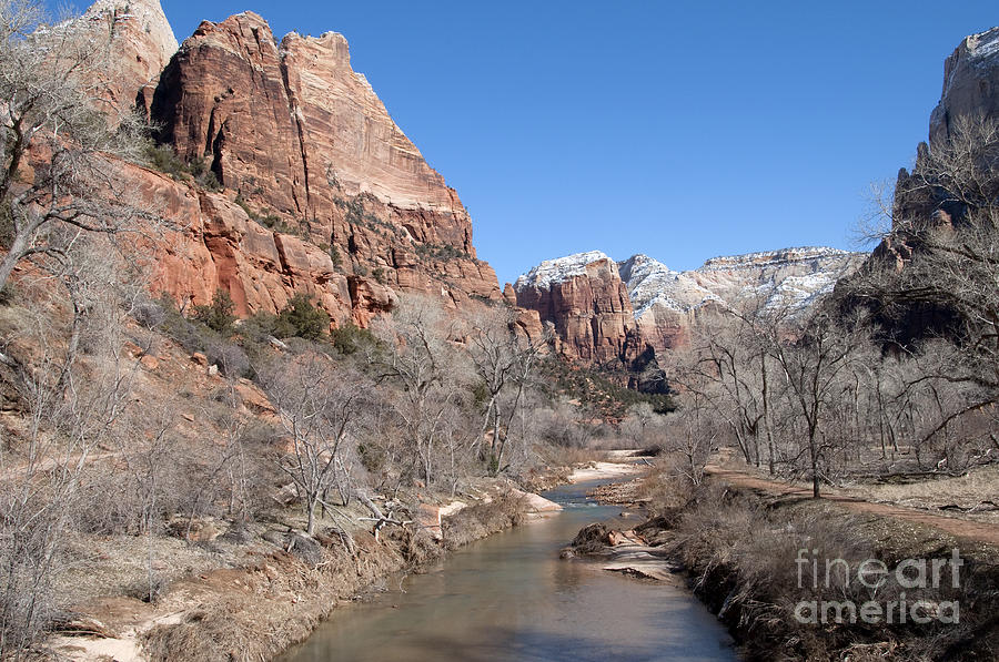Zion National Park Photograph - Winter in Zion by Bob and Nancy Kendrick