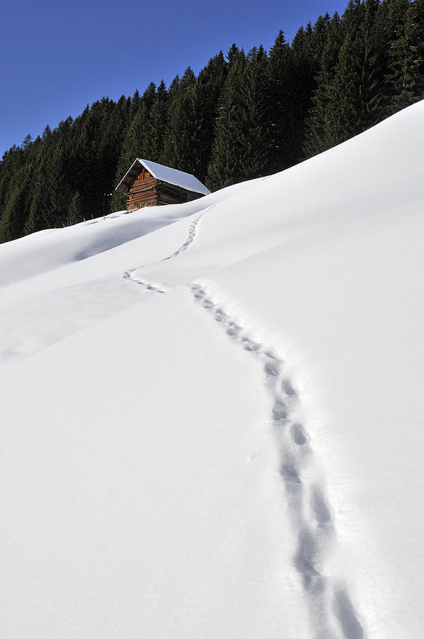 Winter landscape - footprints in the snow leading to a barn Photograph by Matthias Hauser