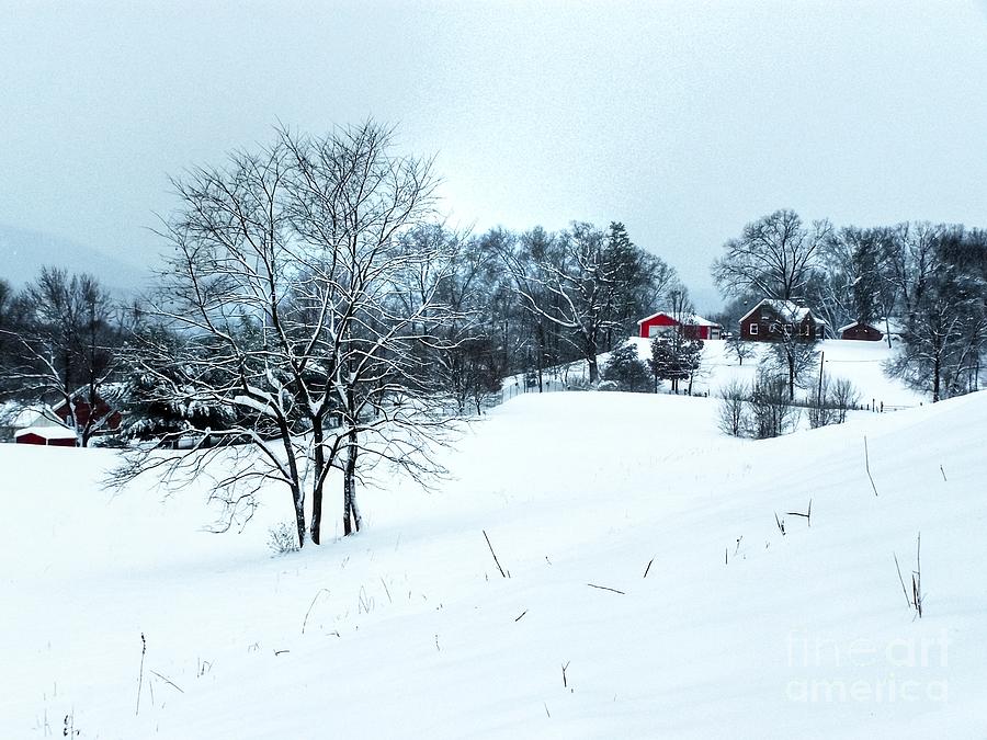 Winter Landscape 1 Photograph by Dan Stone