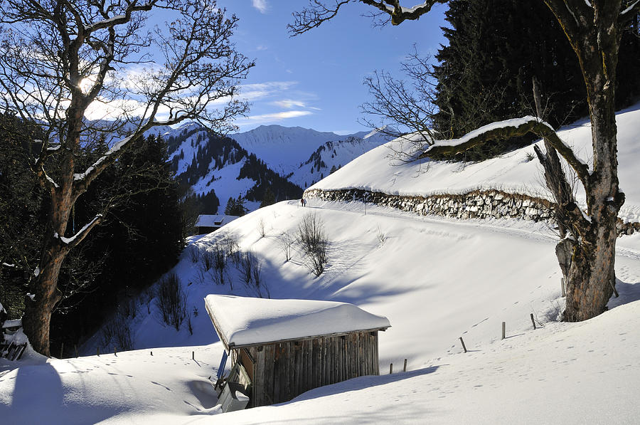 Winter Photograph - Winter landscape by Matthias Hauser