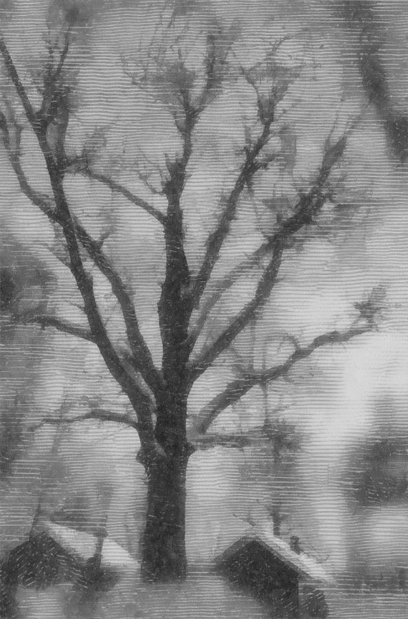 Winter Landscape Photograph by Michael Goyberg Winter Landscape Photograph by Michael Goyberg