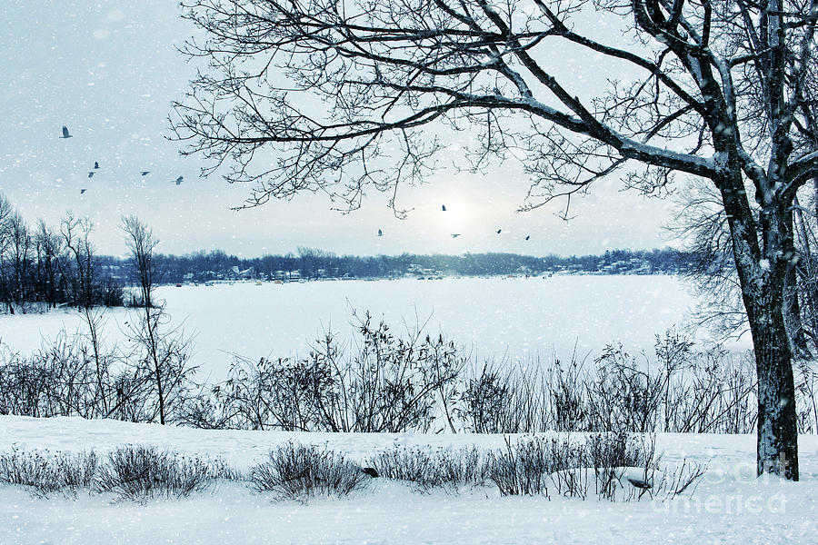 Winter landscape overlooking a lake Photograph by Sandra Cunningham