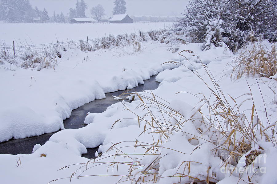 Winter Landscape Photograph by Sean Griffin