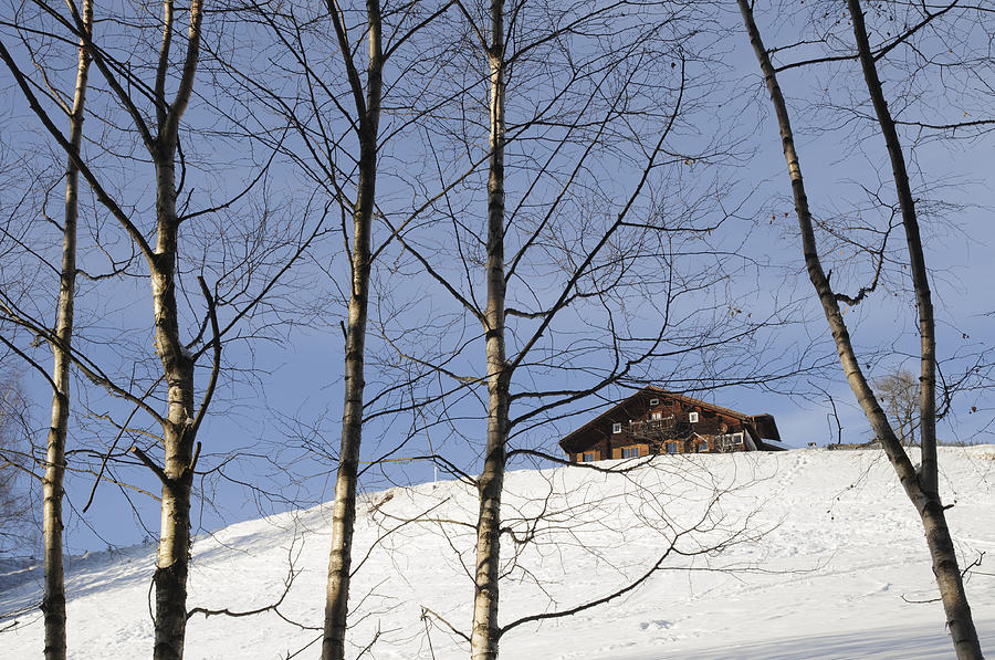 Winter landscape with house and trees Photograph by Matthias Hauser