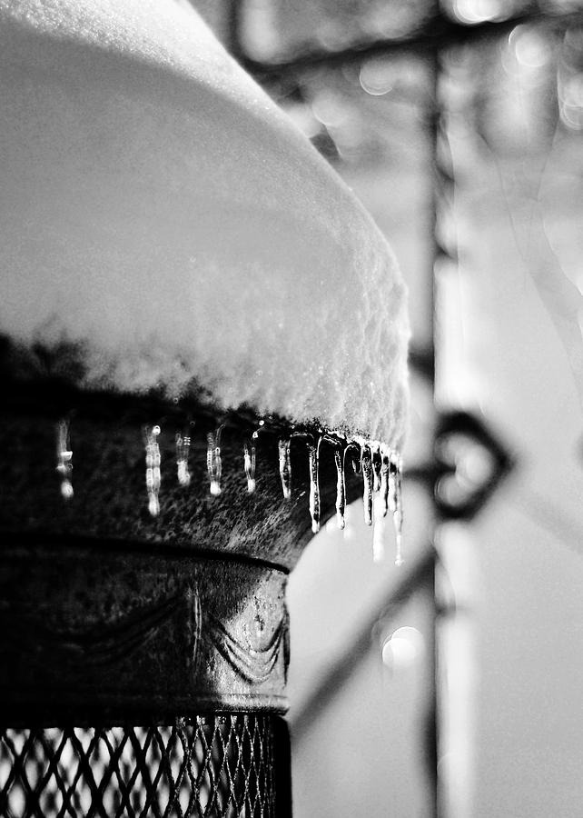 Winter Love Photograph by Rebecca Sherman