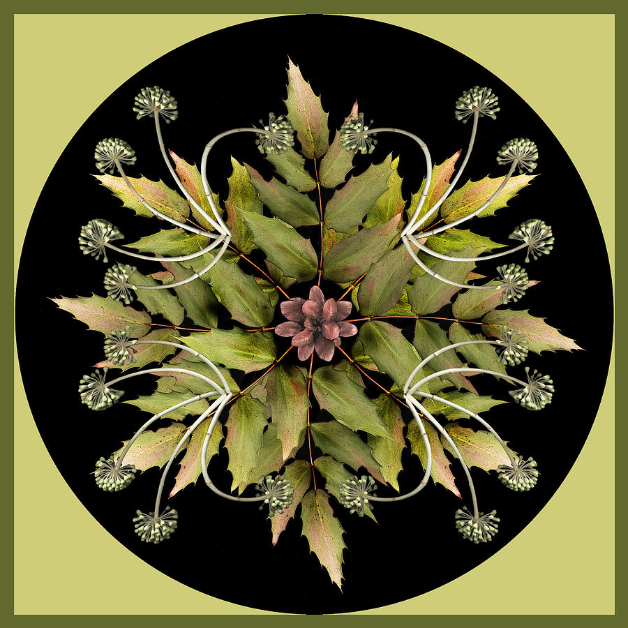 Winter Mandala by Ken Ketchum Winter Mandala by Ken Ketchum