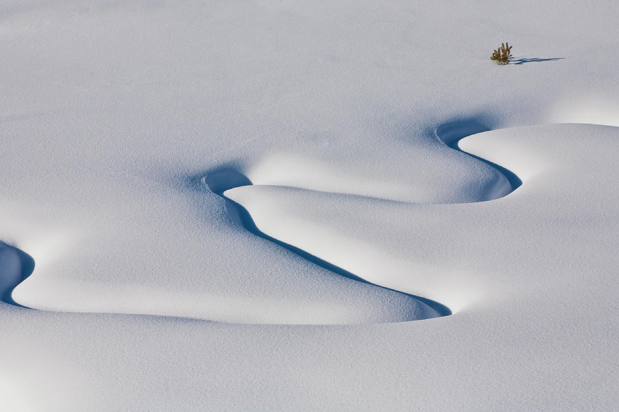 Winter Meander Photograph by D Robert Franz