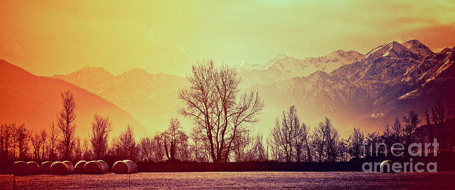 Winter mood Photograph by Silvia Ganora