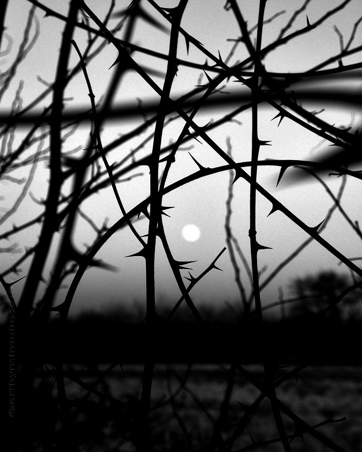 Winter Moon - Winter Mond Photograph by Mimulux Patricia No
